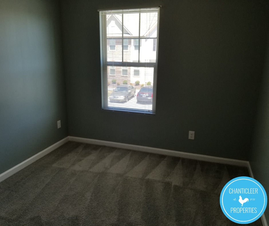 4204 Ginger Sprout Drive photo 7