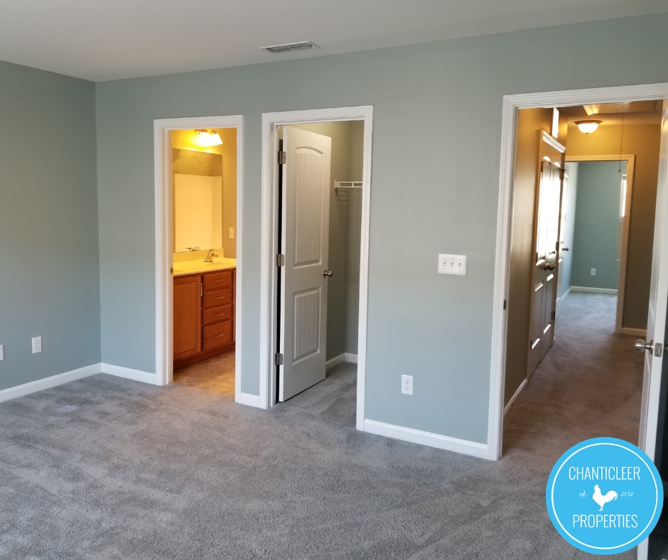4204 Ginger Sprout Drive photo 11