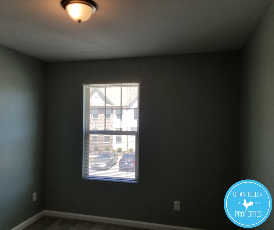 4204 Ginger Sprout Drive photo 14