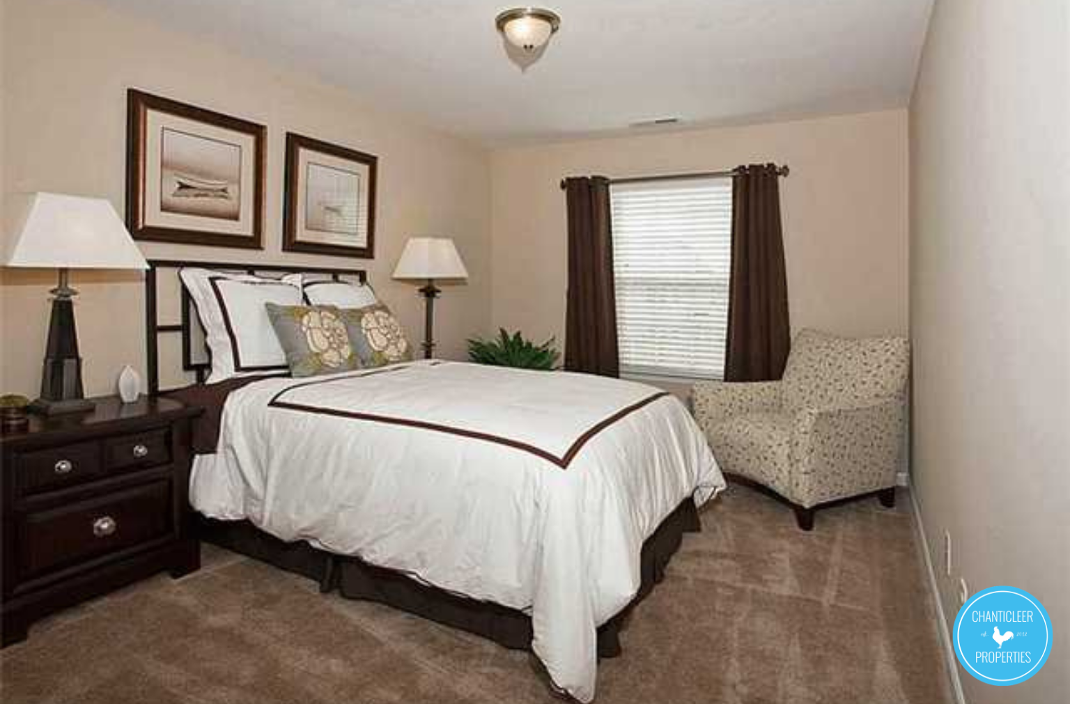 2147 Sunny Cove Drive photo 19