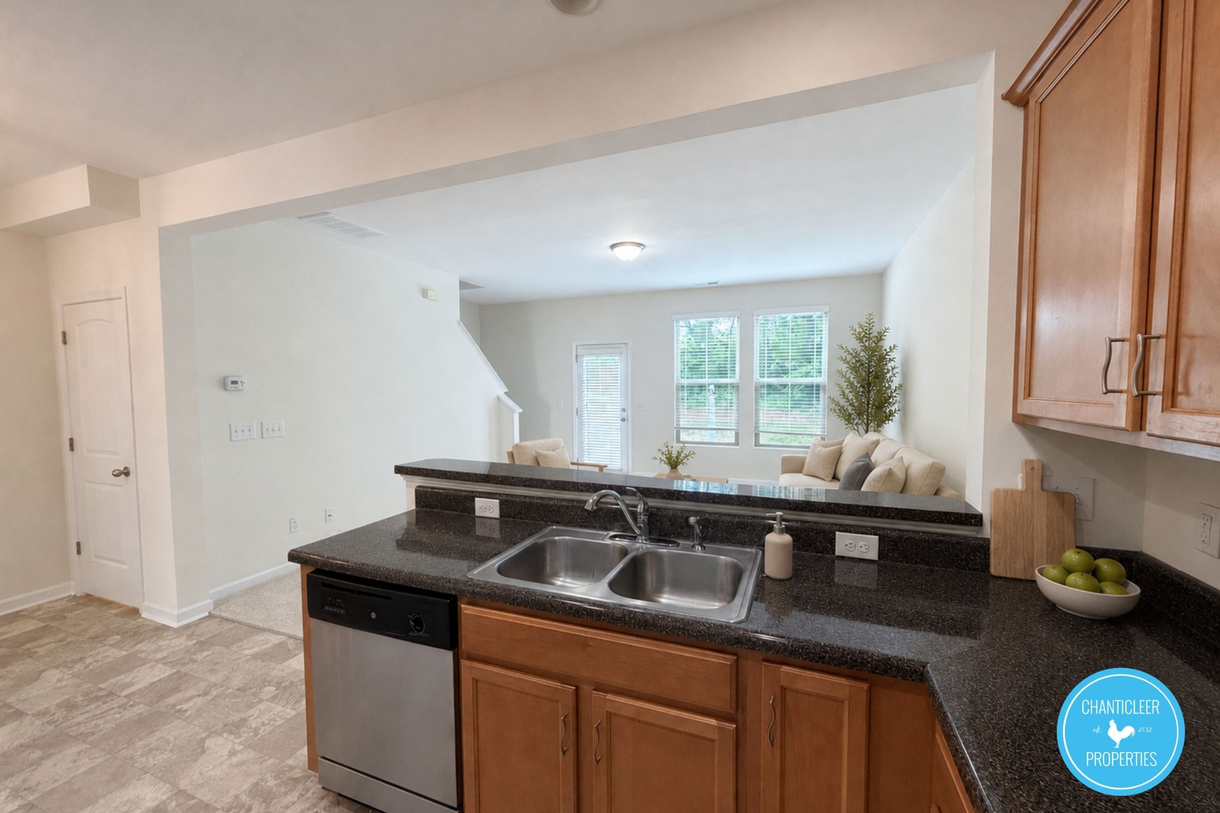 9917 Sweet Basil Drive photo 1