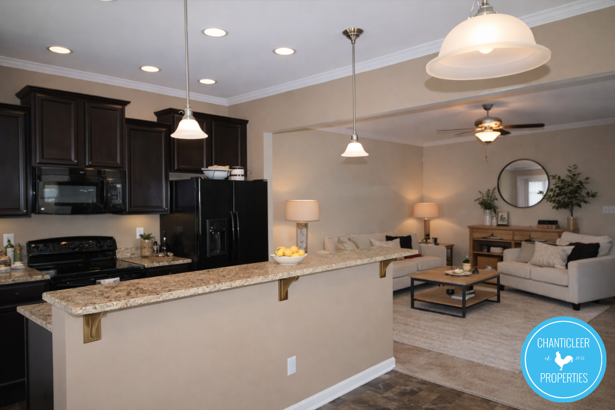 9816 Precious Stone Dr photo 3