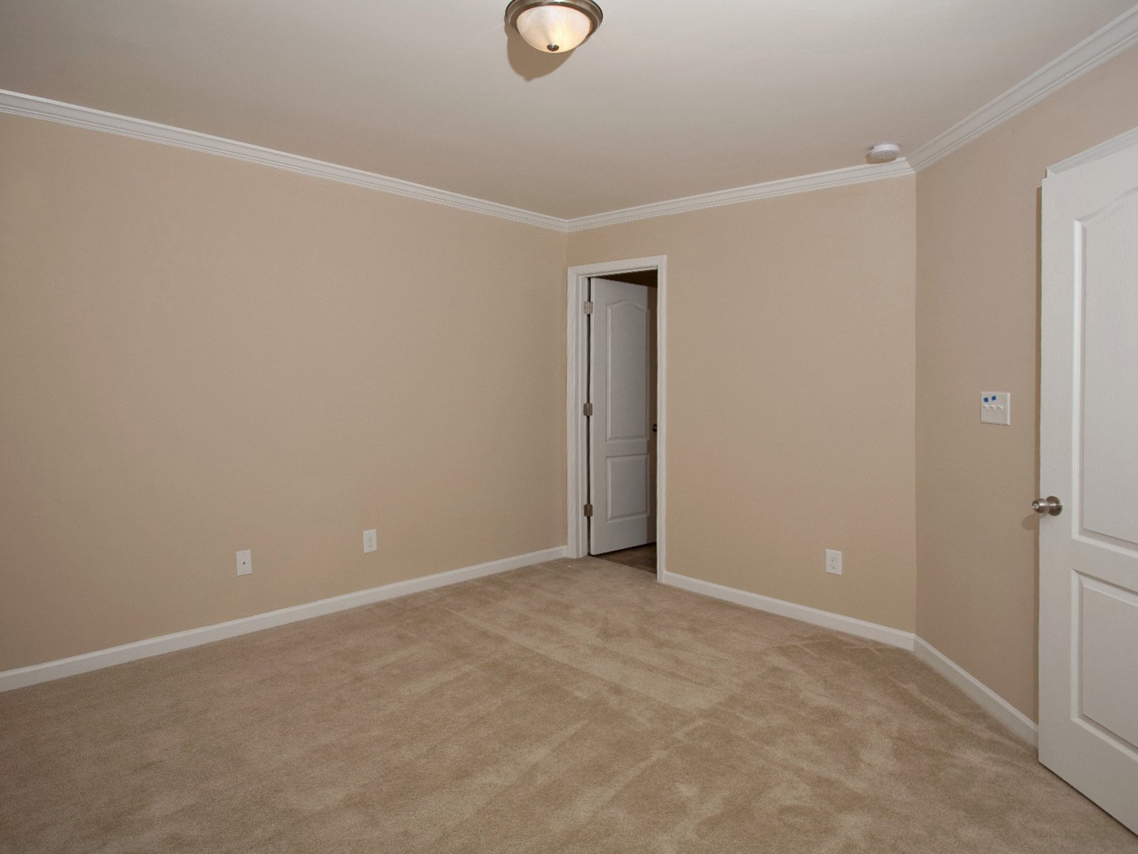 3533 Aldie Court photo 10