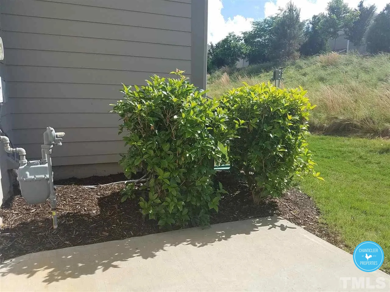 2442 Baslow Drive photo 18
