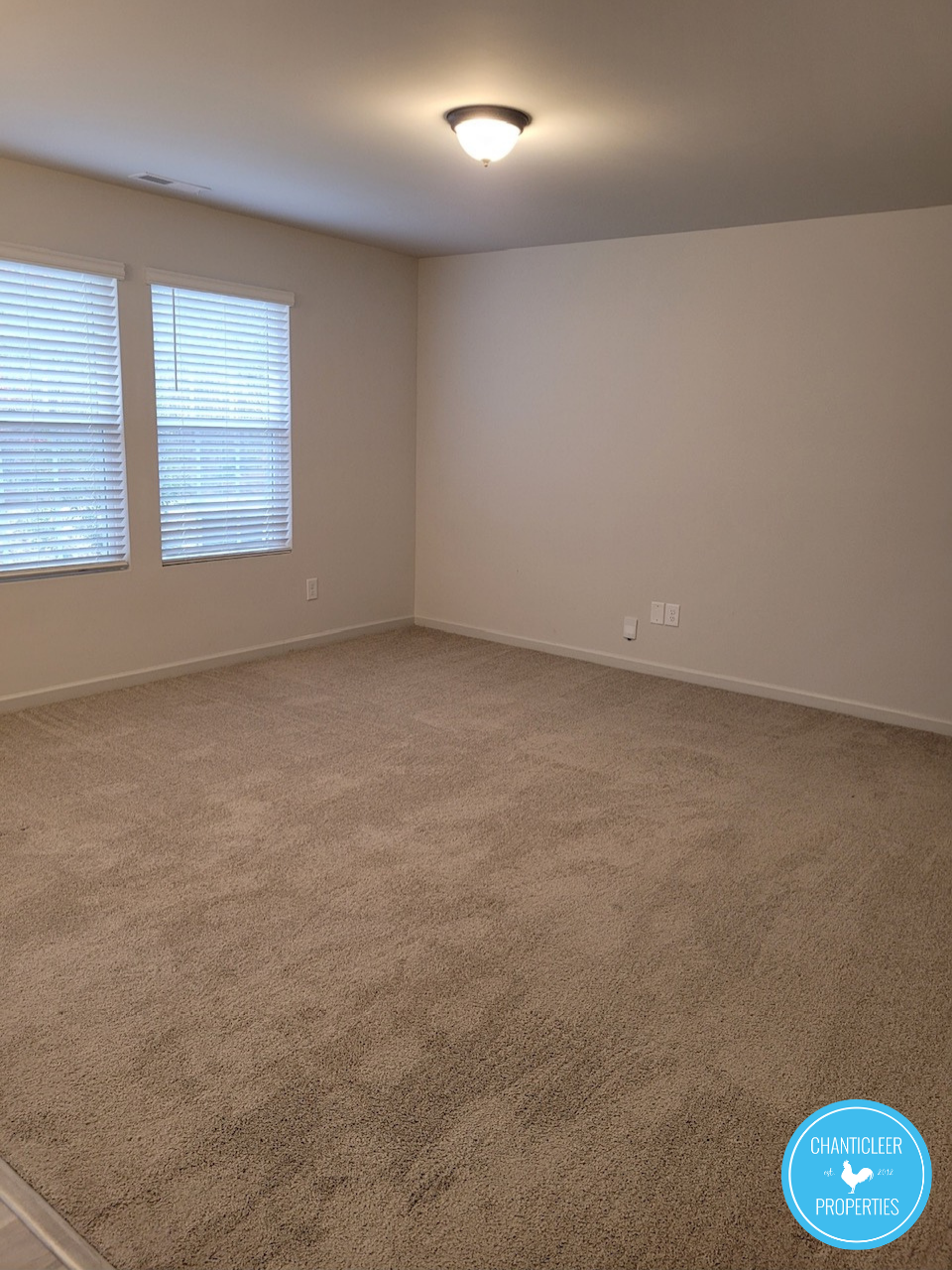 3417 Slippery Elm Drive photo 5