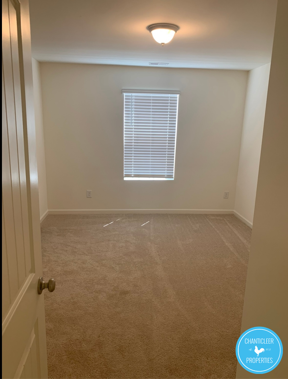 3512 Slippery Elm Drive photo 12
