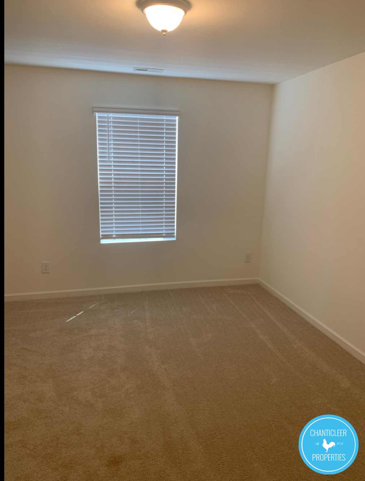 3512 Slippery Elm Drive photo 18