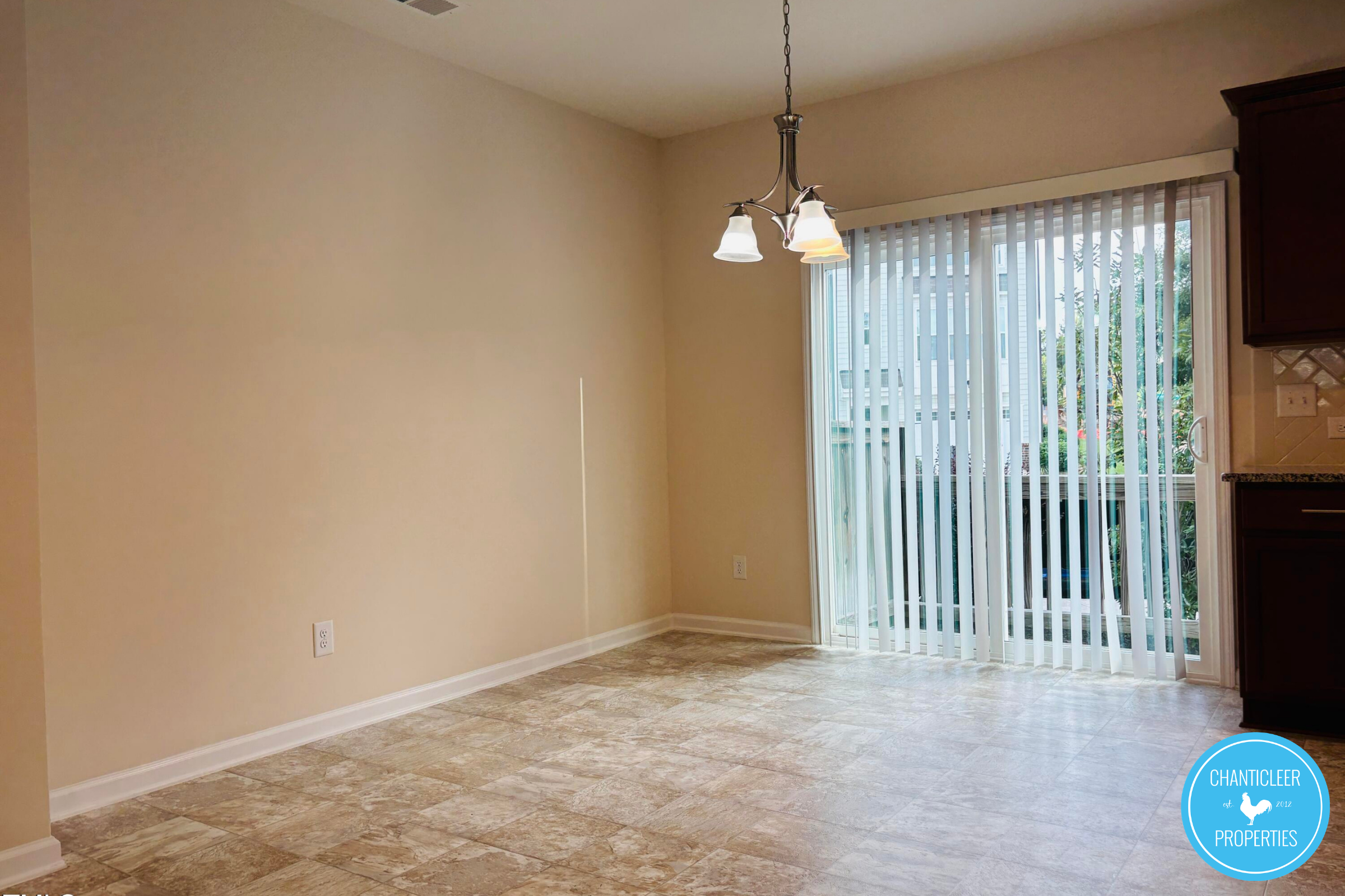 1437 Salem Creek Drive photo 5